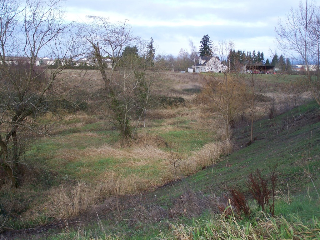 Legion park - Willamette Valley Pleistocene ProjectWillamette Valley